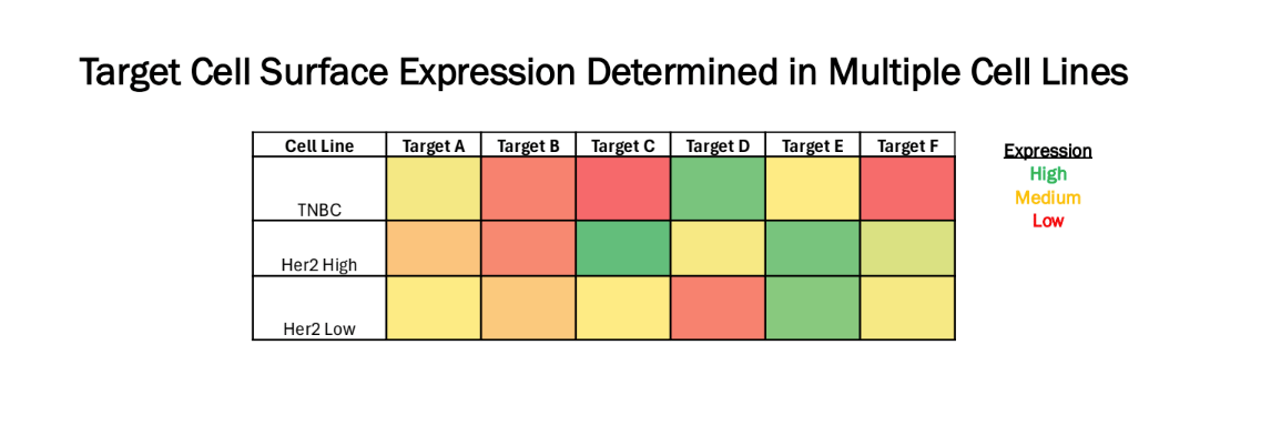 Target Cell Surface Expression Determined in Multiple Cell Lines