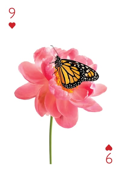 Hearts9