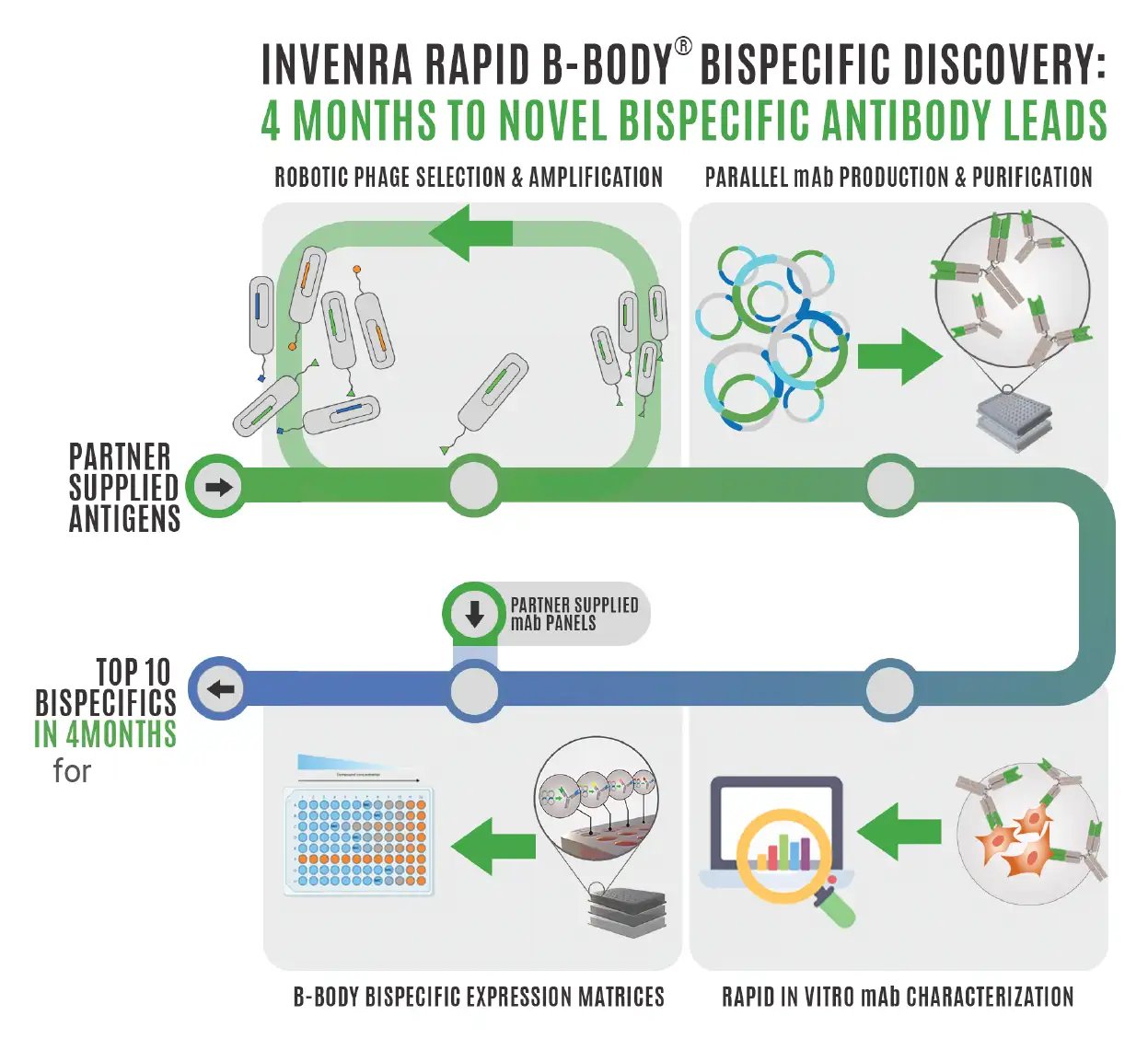 discovery_outline