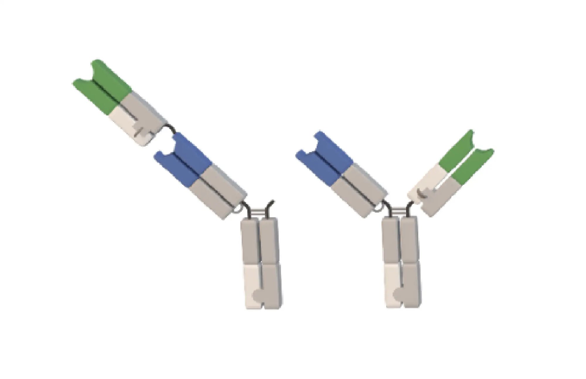 inv-BBody-1x1-1