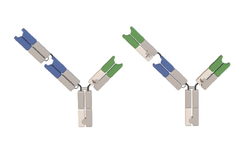 inv-BBody-2x1-1