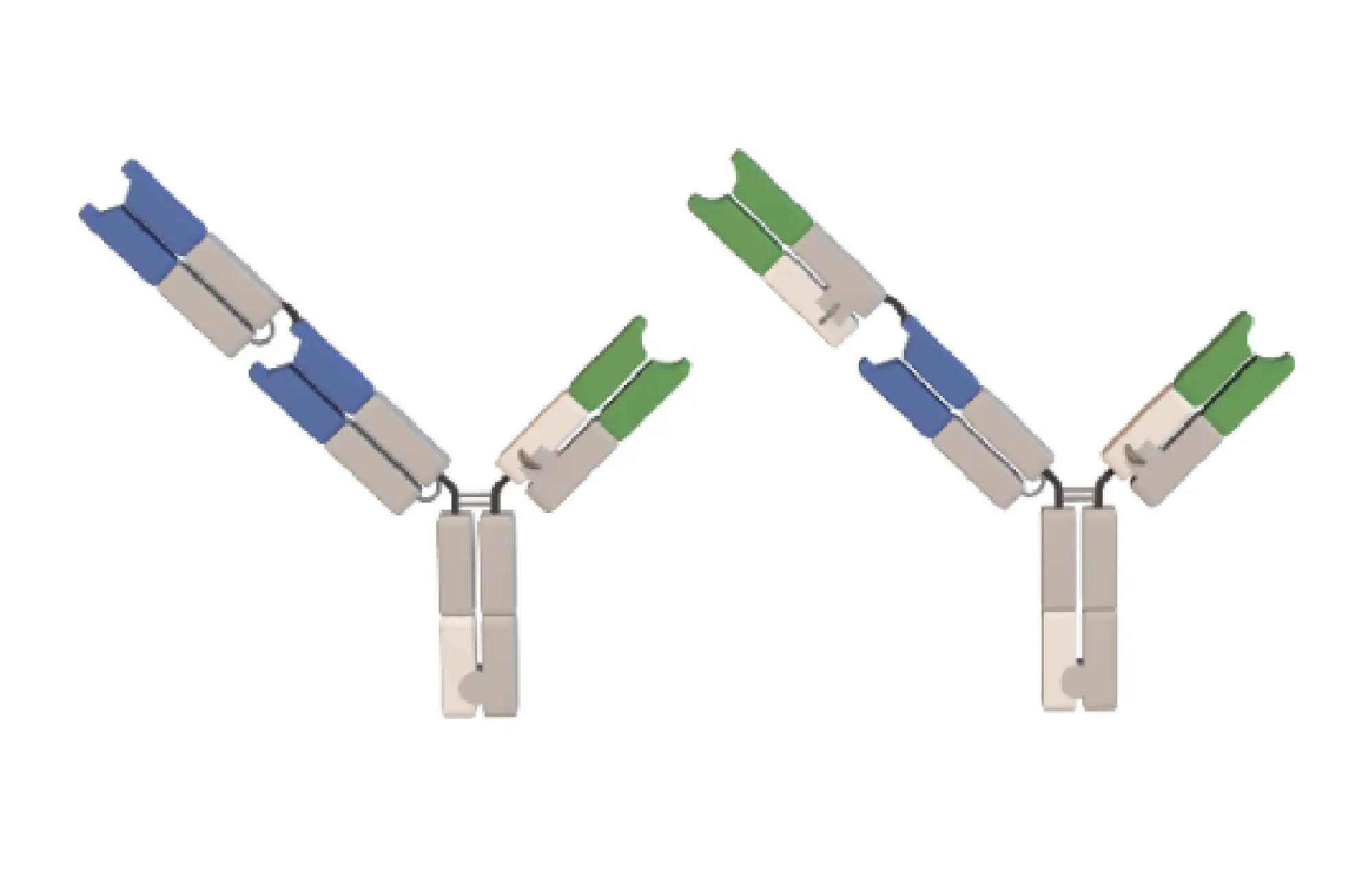 inv-BBody-2x1-1