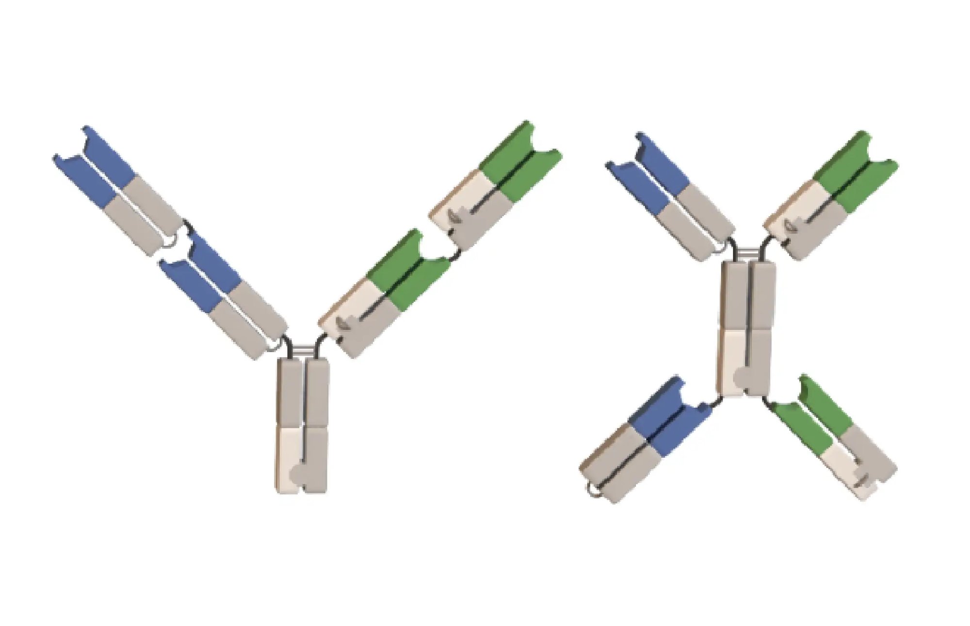 inv-BBody-2x2-1