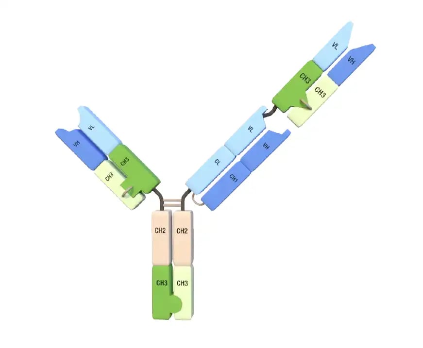 t-body-features2-white-wide