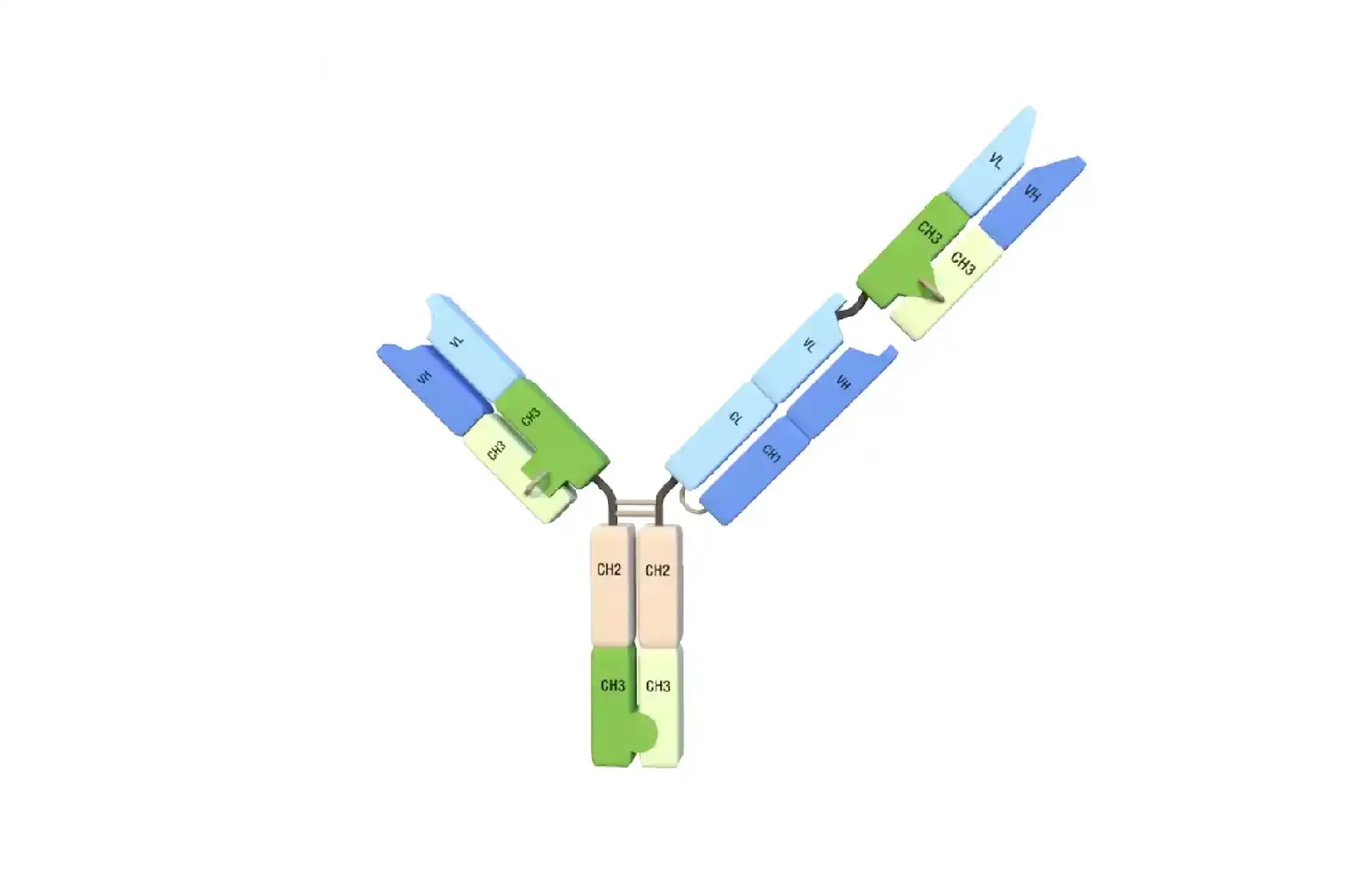 t-body-features4-white