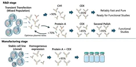 figure 1 purification