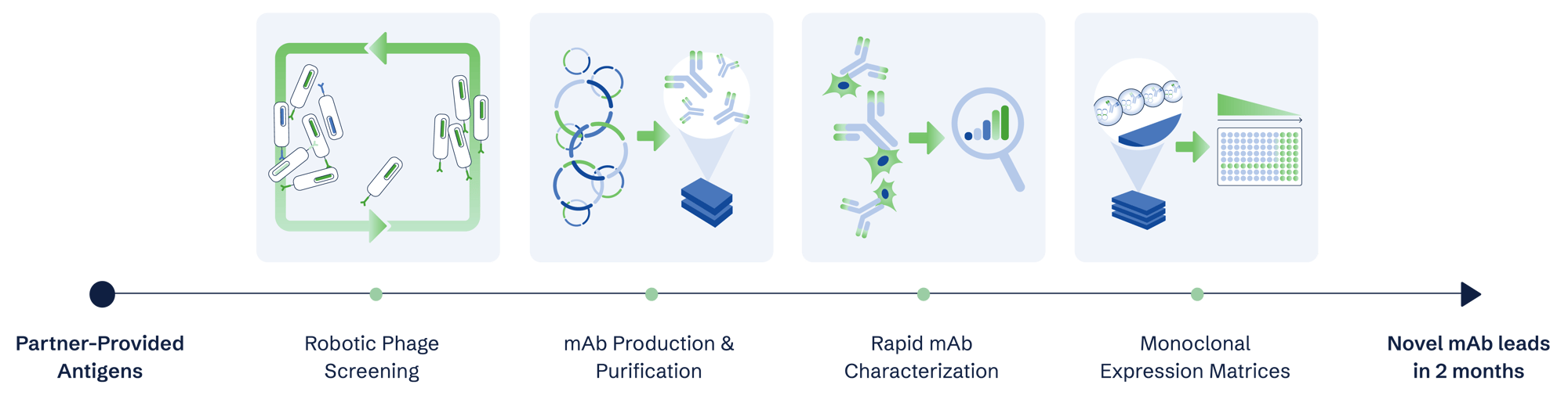 mAbworkflow