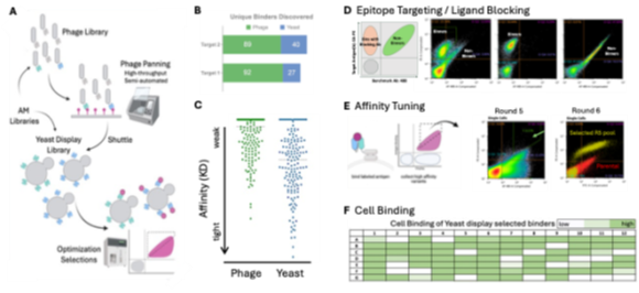 figure 1 selection strategy and outcome